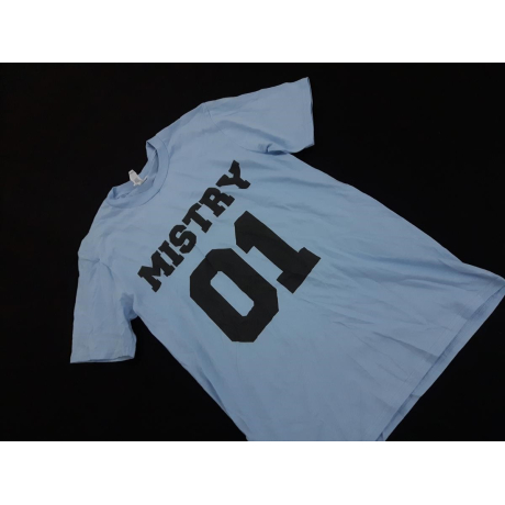 GILDAN bawełniana KOSZULKA t-shirt PRINT napi | Lapciucha.pl